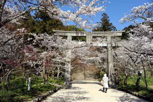 f:id:tabisuki:20110428172705j:image f:id:tabisuki:20110428172705j:image