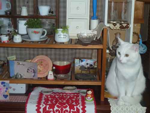 f:id:tabisuki:20110428172727j:image f:id:tabisuki:20110428172727j:image