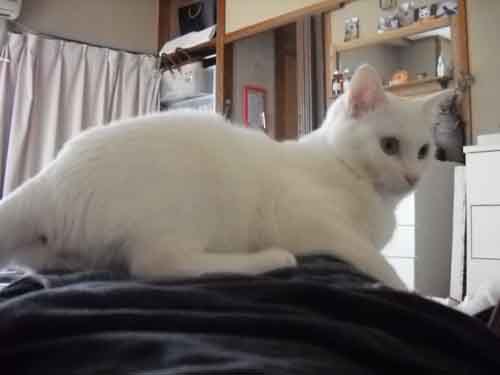 f:id:tabisuki:20110602172243j:image