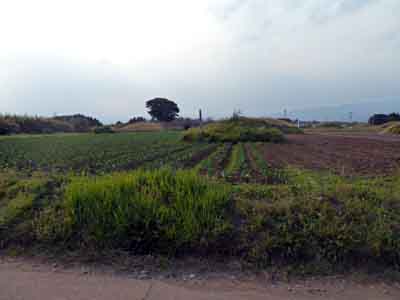 f:id:tabisuki:20110606155618j:image