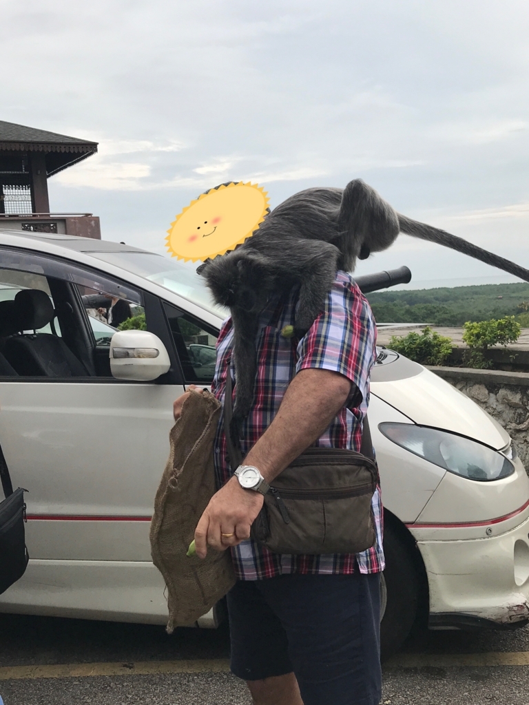f:id:tabisukisan:20180106111018j:plain f:id:tabisukisan:20180106111018j:plain