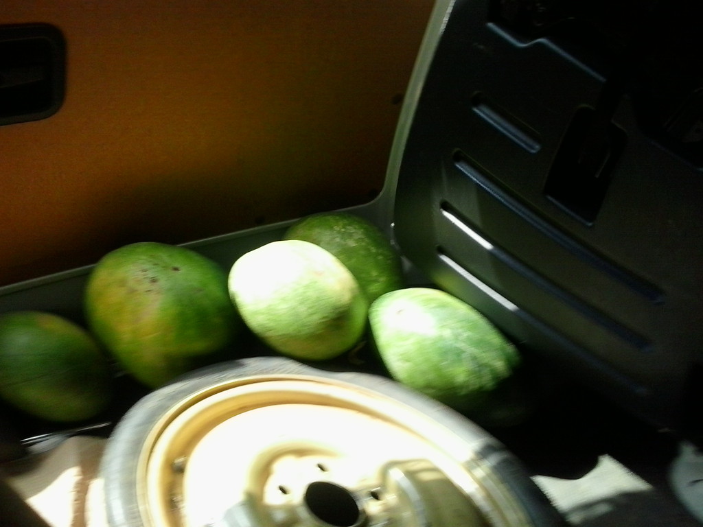 f:id:tabisuru-iwao:20170104230635j:plain