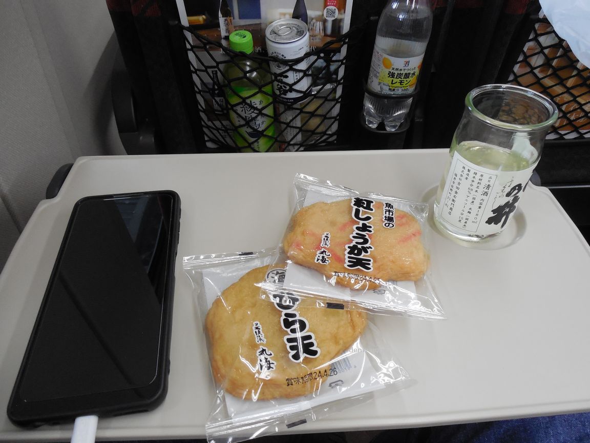 JR東日本 はくたか566号 - 乗ってみました