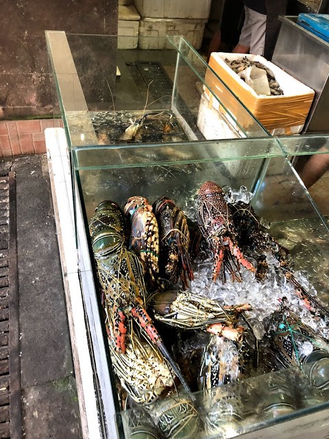 f:id:tabitabitravel:20190302164046j:plain f:id:tabitabitravel:20190302164046j:plain