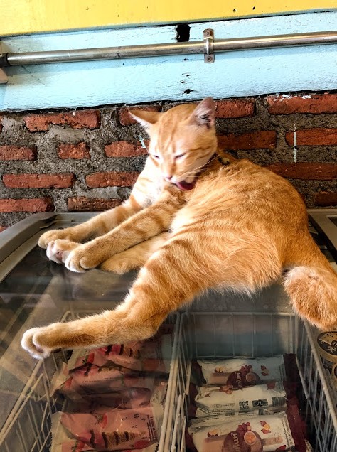 f:id:tabitabitravel:20190519220700j:plain f:id:tabitabitravel:20190519220700j:plain