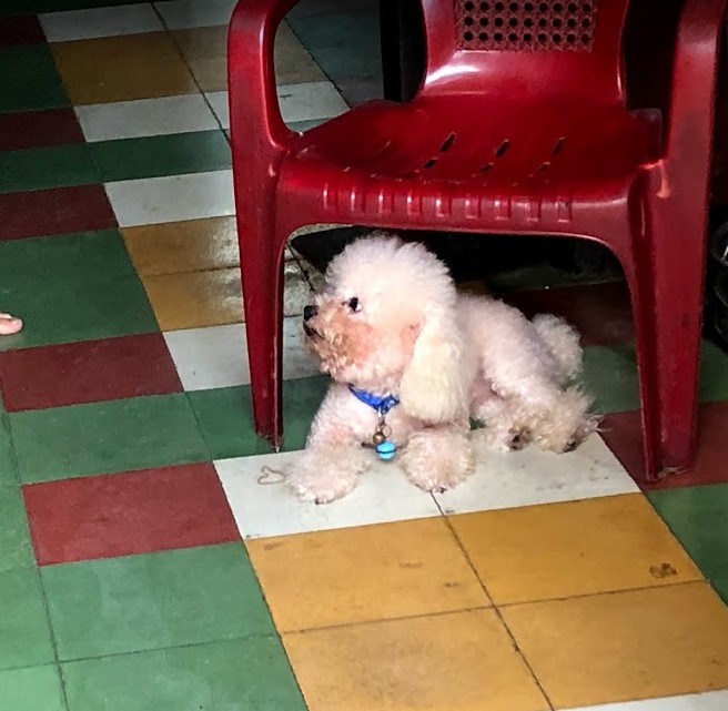 f:id:tabitabitravel:20190910224809j:plain