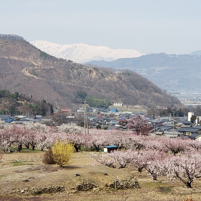 f:id:tabitikukuminn:20210328105130j:image