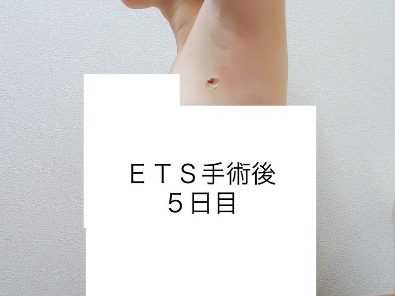 f:id:tabitogohan:20210525204017j:plain