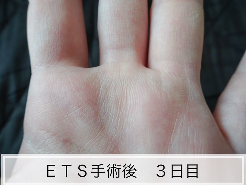 f:id:tabitogohan:20210525204043j:plain