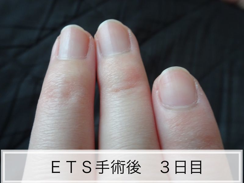 f:id:tabitogohan:20210525204055j:plain