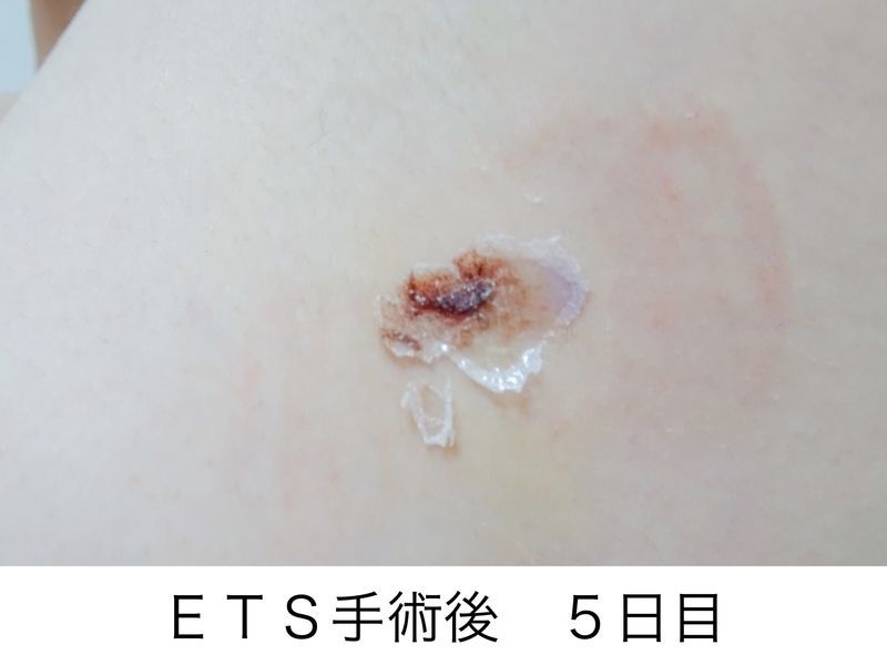f:id:tabitogohan:20210525204139j:plain