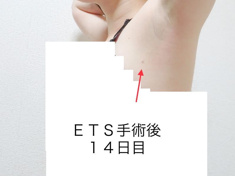 f:id:tabitogohan:20210525204144j:plain