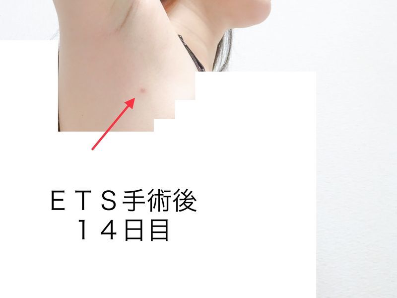 f:id:tabitogohan:20210525204155j:plain