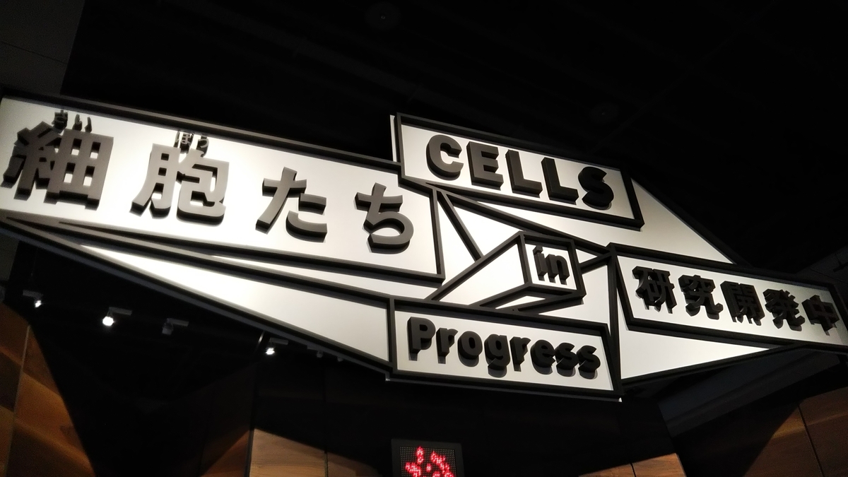 f:id:tabitogurume:20190907144517j:plain