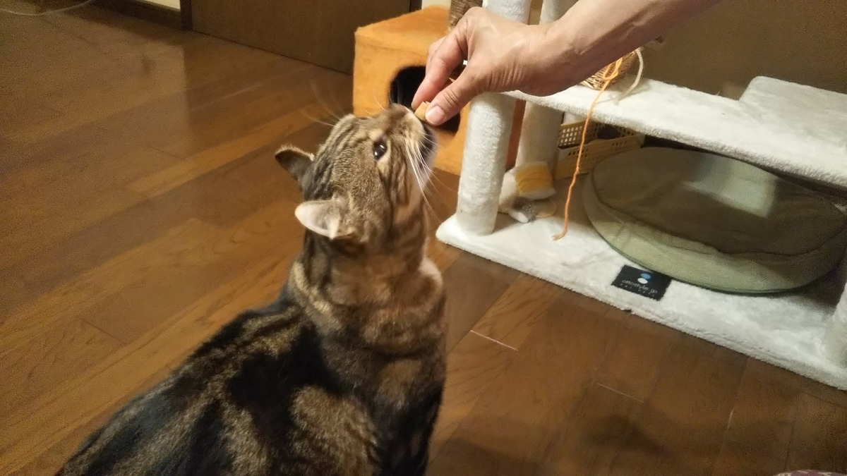 f:id:tabitogurume:20190916232304j:plain