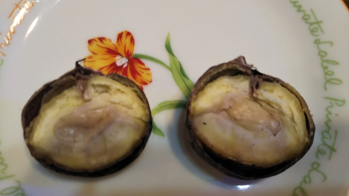 f:id:tabitogurume:20201102234408j:plain