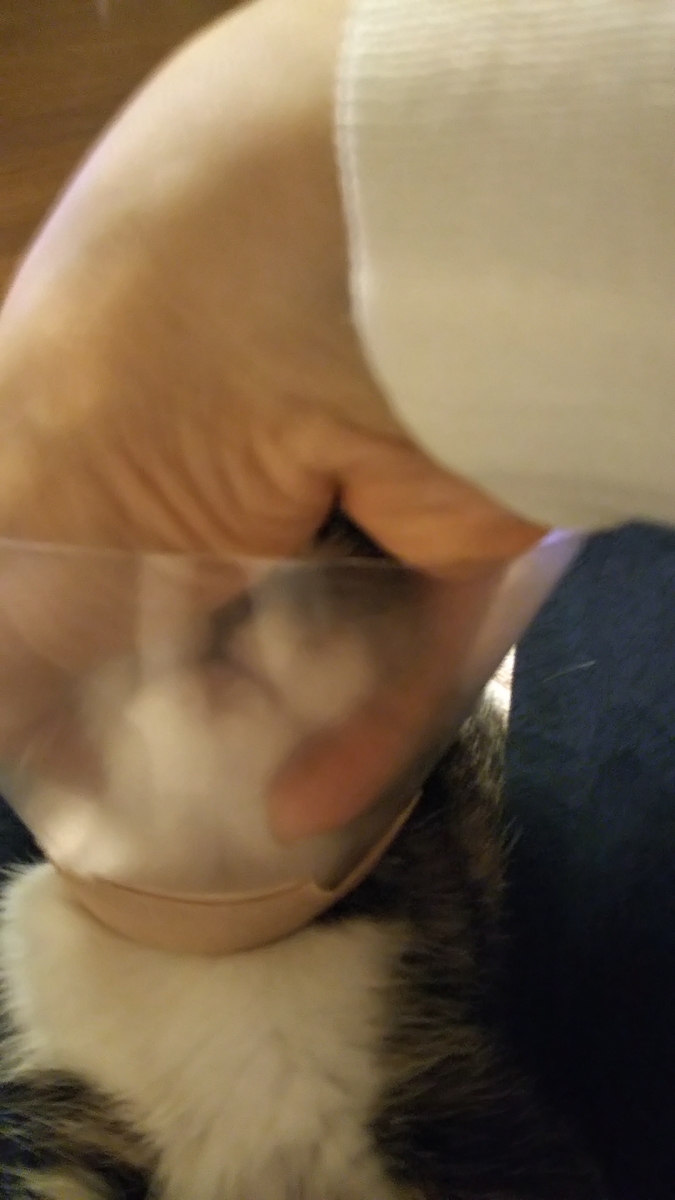 f:id:tabitogurume:20201119234240j:plain