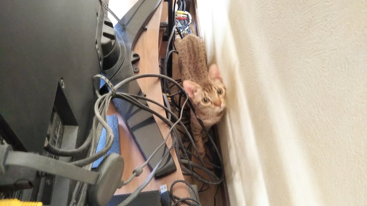 f:id:tabitogurume:20201206140655j:plain