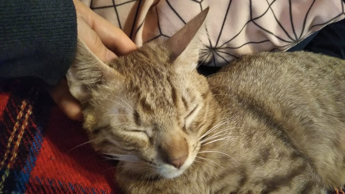 f:id:tabitogurume:20201230183219j:plain