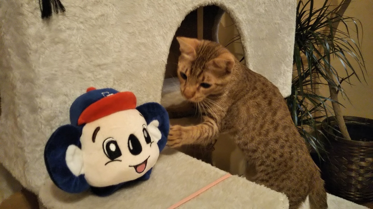 f:id:tabitogurume:20210213120028j:plain