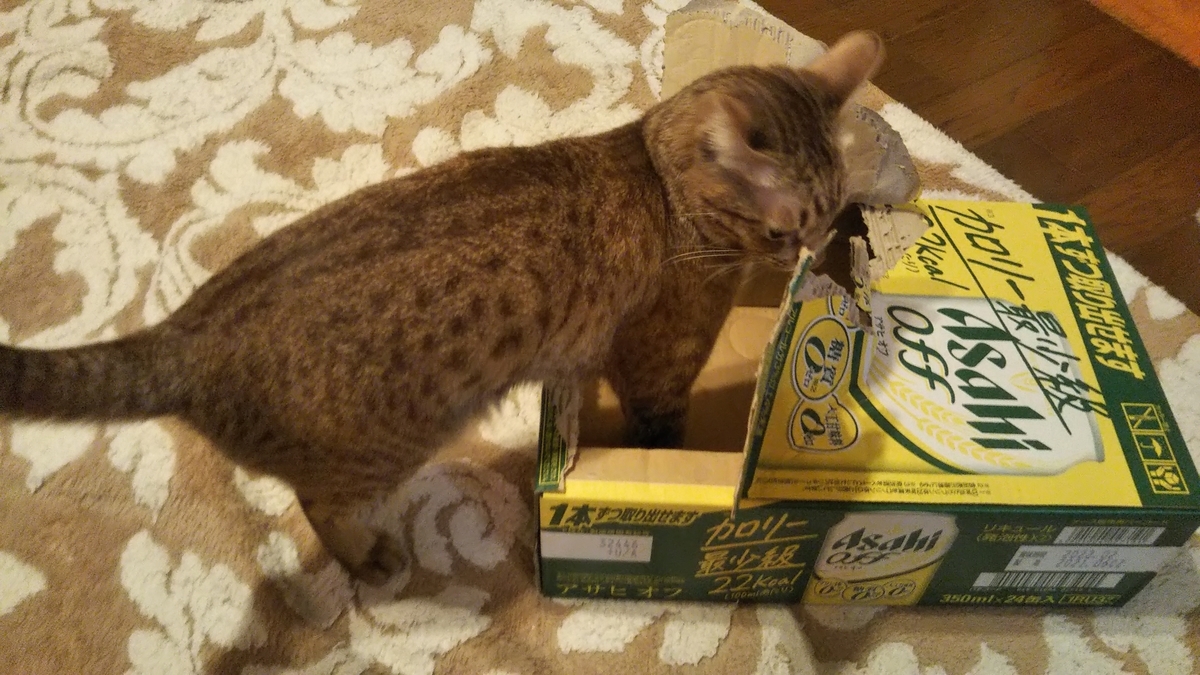 f:id:tabitogurume:20211211152751j:plain