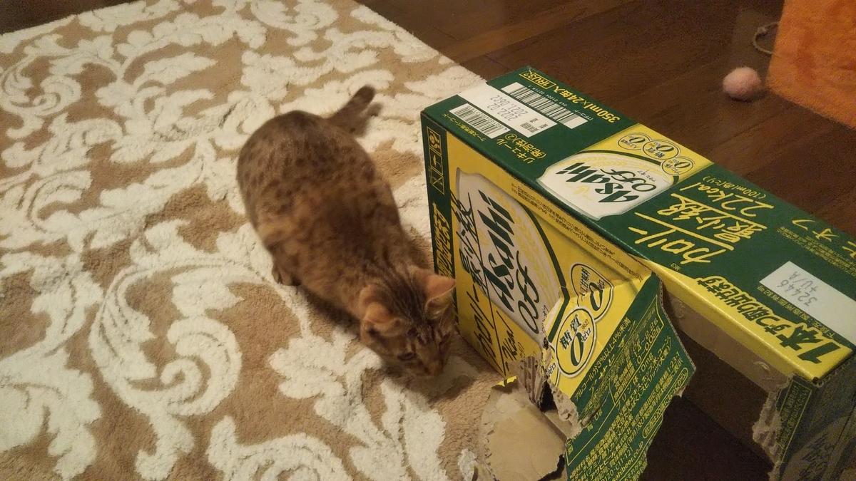 f:id:tabitogurume:20211211152840j:plain