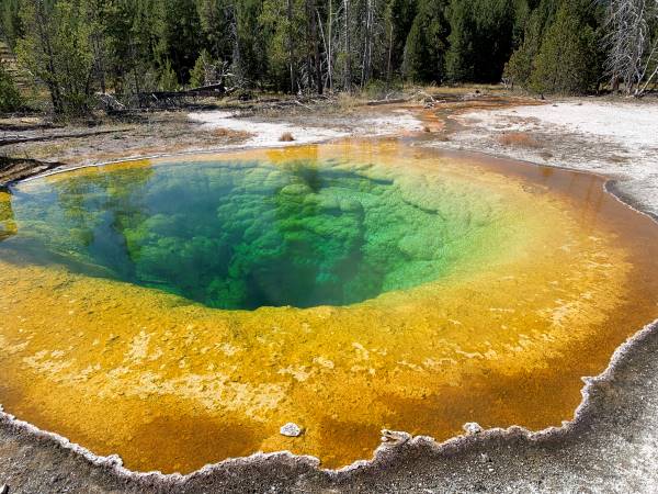 イエローストーンさま YELLOWSTONE（イエローストーン国立公園）のカテゴリ｜PARKS