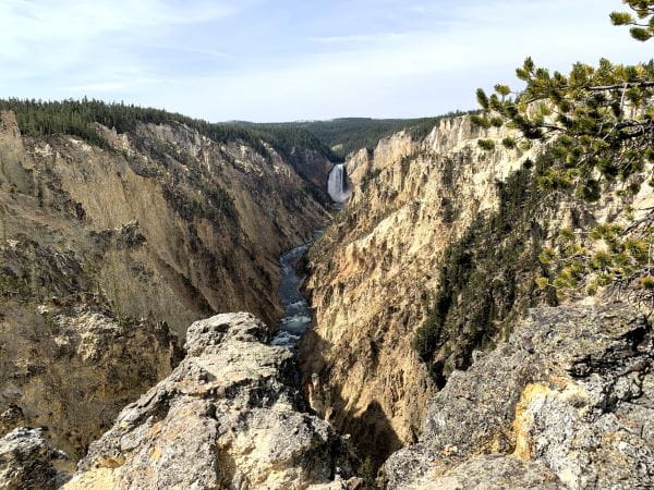 イエローストーンベスト　40 オリーブ Amazon | 【FREE WHEELERS/フリーホイーラーズ】「スリーブレス