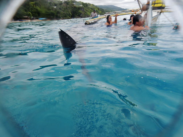 f:id:tabitoneko:20171104173305j:plain f:id:tabitoneko:20171104173305j:plain