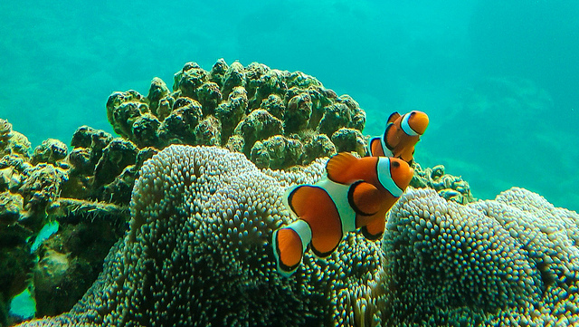 f:id:tabitoneko:20171104191104j:plain f:id:tabitoneko:20171104191104j:plain