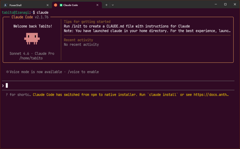 Claude Code on WSL2