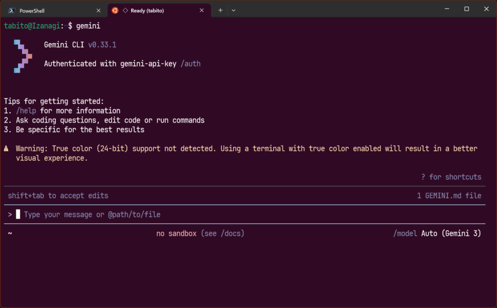 Gemini CLI on WSL2