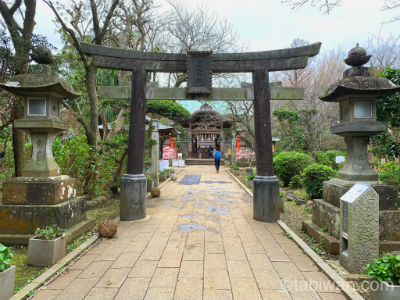 江の島★犬と旅行★旅ワン　おすすめルート