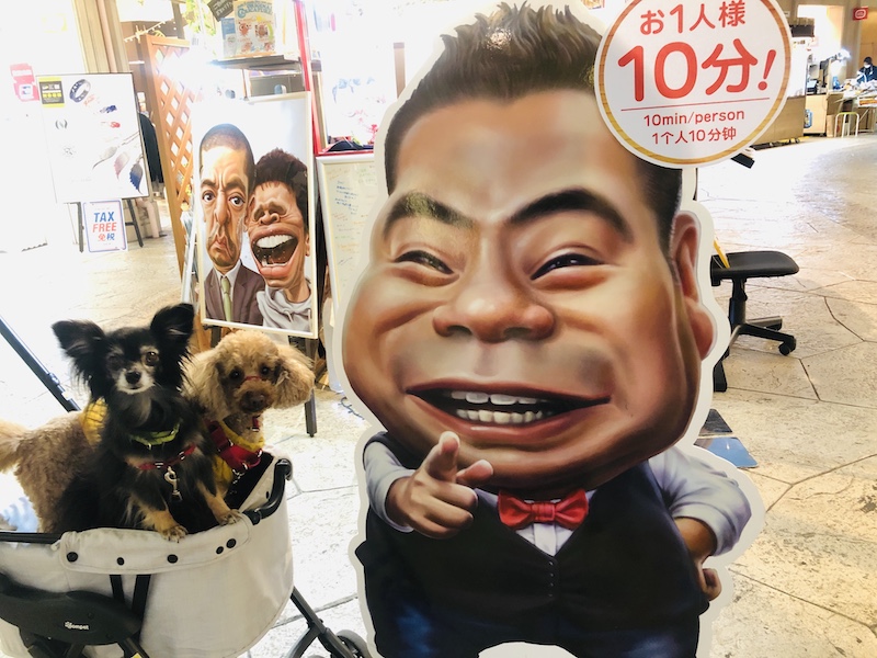 f:id:tabiwan:20200222225954j:plain f:id:tabiwan:20200222225954j:plain