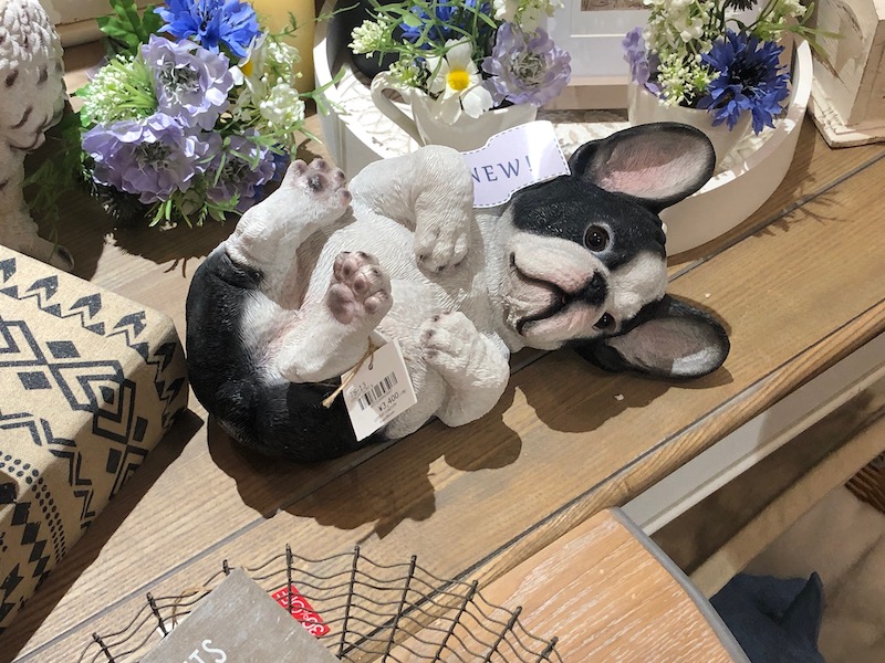 【東京・お台場①】愛犬家に人気★夏日も雨の日もOK！ビーナスフォート、お台場ドッグリゾート、ワンコと宿泊できる宿