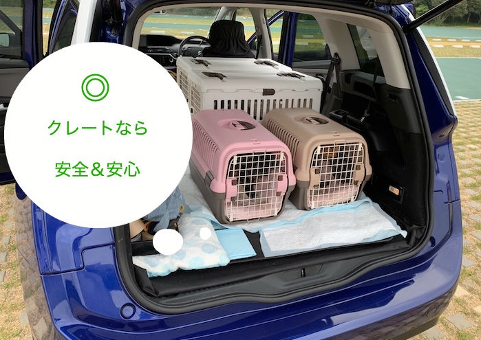 車で愛犬とお出かけ 安全な乗せ方 車にならす方法 ペット可レンタカー会社の比較一覧 愛犬と旅行に出かけよう 旅ワン Com 車で愛犬とお出かけ 安全な乗せ方 車にならす方法 ペット可レンタカー会社の比較一覧 愛犬と旅行に出かけよう 旅ワン Com