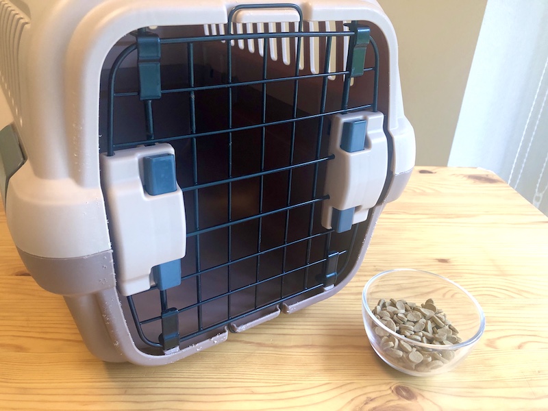 f:id:tabiwan:20200506131905j:plain