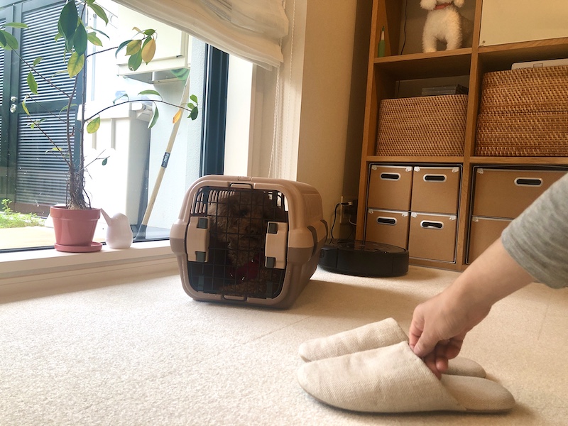 f:id:tabiwan:20200506134628j:plain