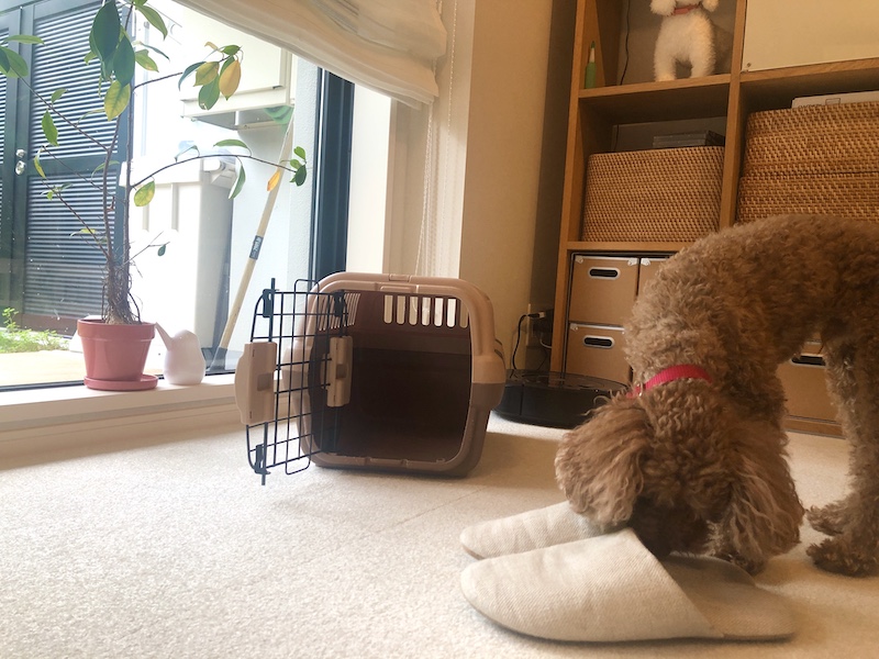 f:id:tabiwan:20200506134721j:plain