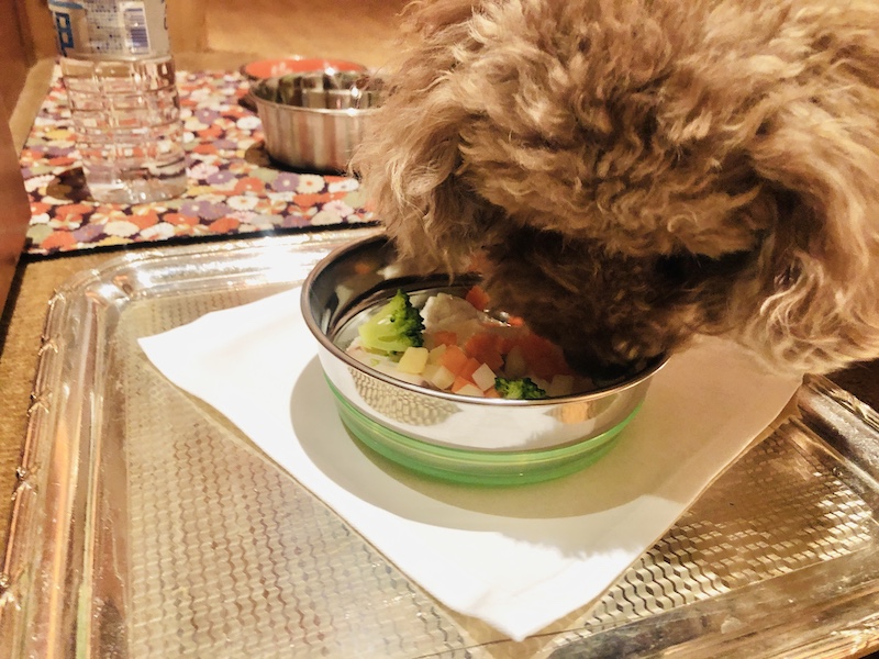 f:id:tabiwan:20201101144534j:plain f:id:tabiwan:20201101144534j:plain