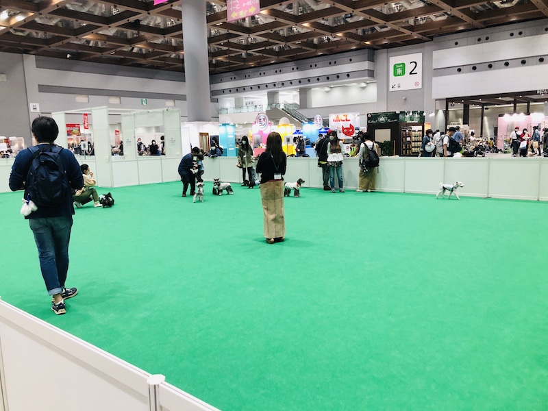 f:id:tabiwan:20210508190846j:plain