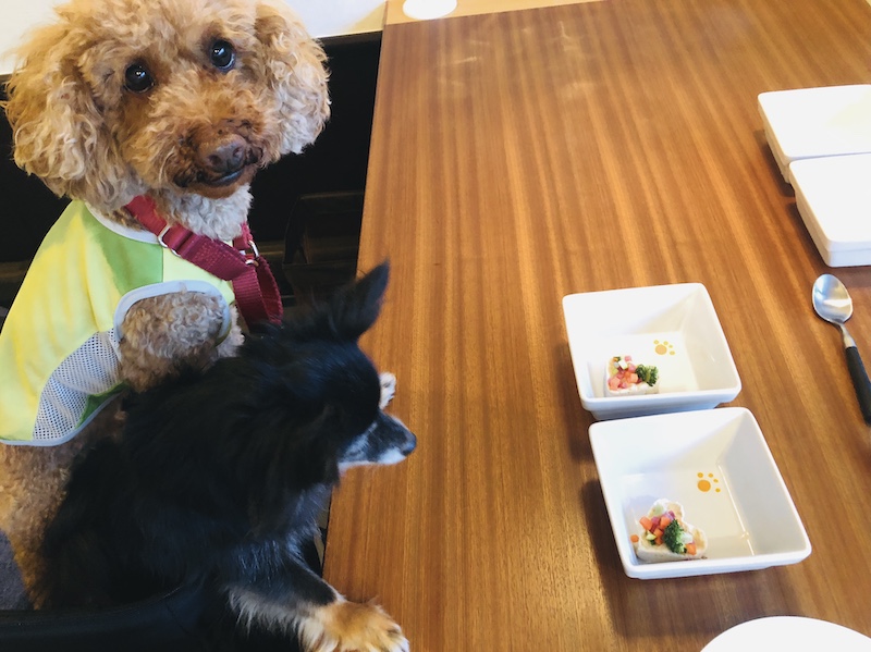 f:id:tabiwan:20210816125854j:plain