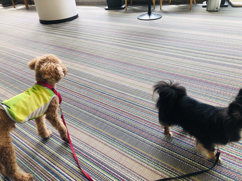 f:id:tabiwan:20210816130443j:plain