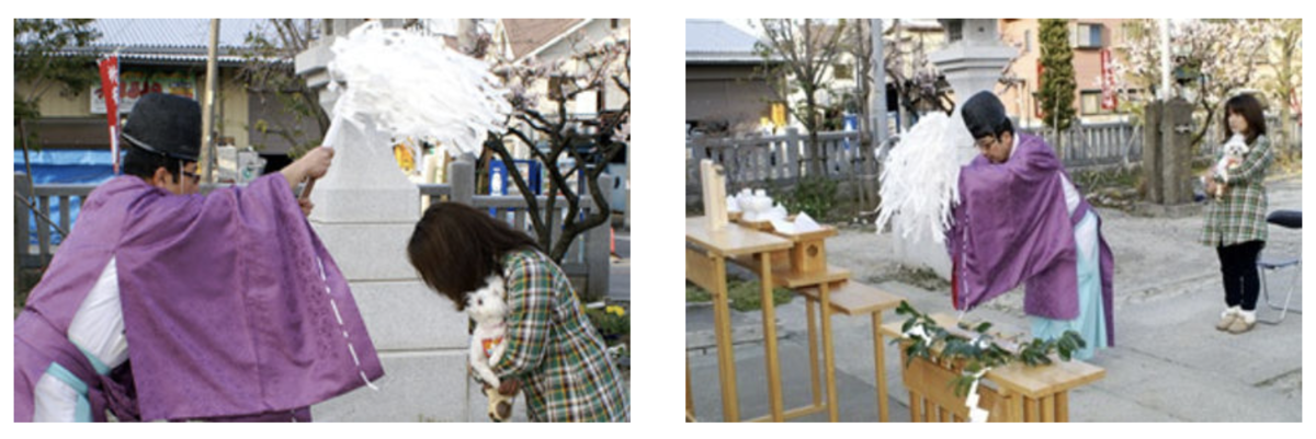 f:id:tabiwan:20211229223104p:plain