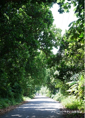 f:id:tabizukigirl:20180605222926j:plain