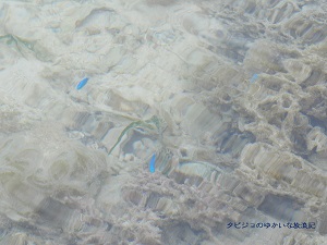 f:id:tabizukigirl:20180607005440j:plain