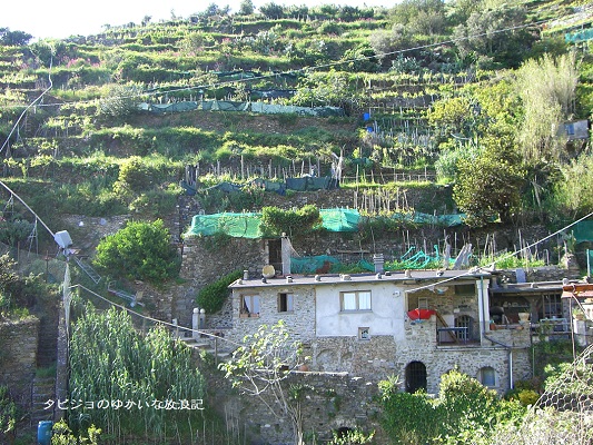 f:id:tabizukigirl:20180622005343j:plain