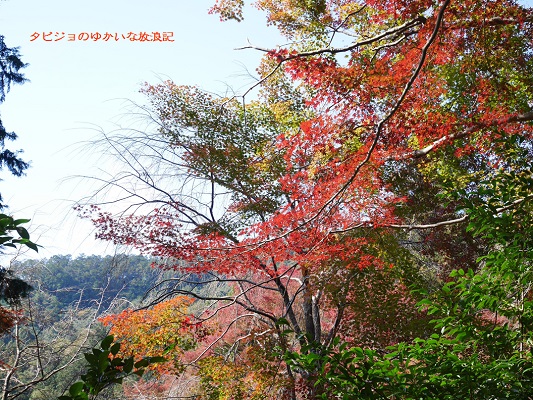 f:id:tabizukigirl:20181122134429j:plain