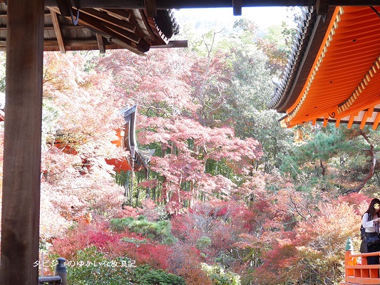 f:id:tabizukigirl:20181122134538j:plain