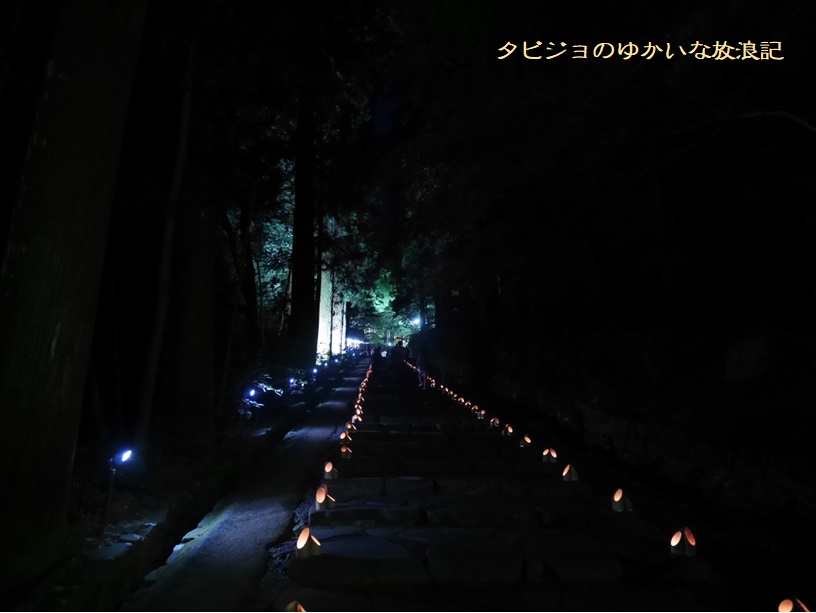 【宮城・仙台】瑞鳳殿「幻想灯夜 七夕ナイト」は幻想的な空間でした♪ - タビジョのゆかいな放浪記